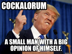 Narcissism Cockalorum